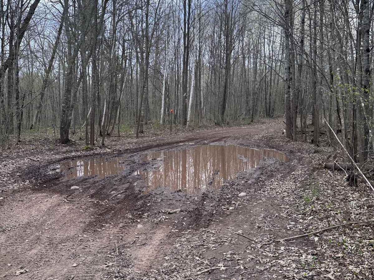Matthew Lourey State Trail photo 4