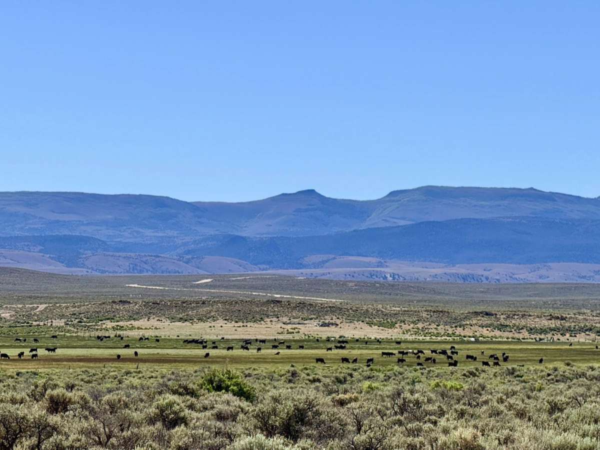 Potts Ranch Road  photo 3