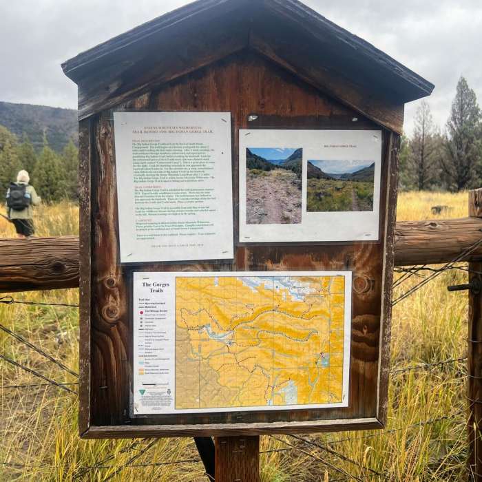 Near Steens Campground to Steens Mountain Near Steens Campground to Steens Mountain