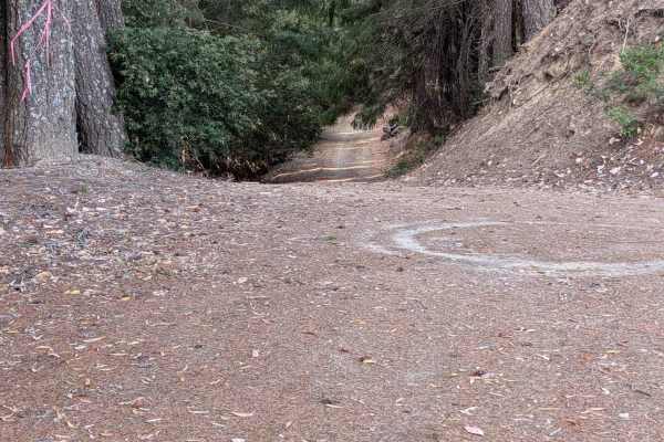 Kerlin Creek Road - FS 3N14