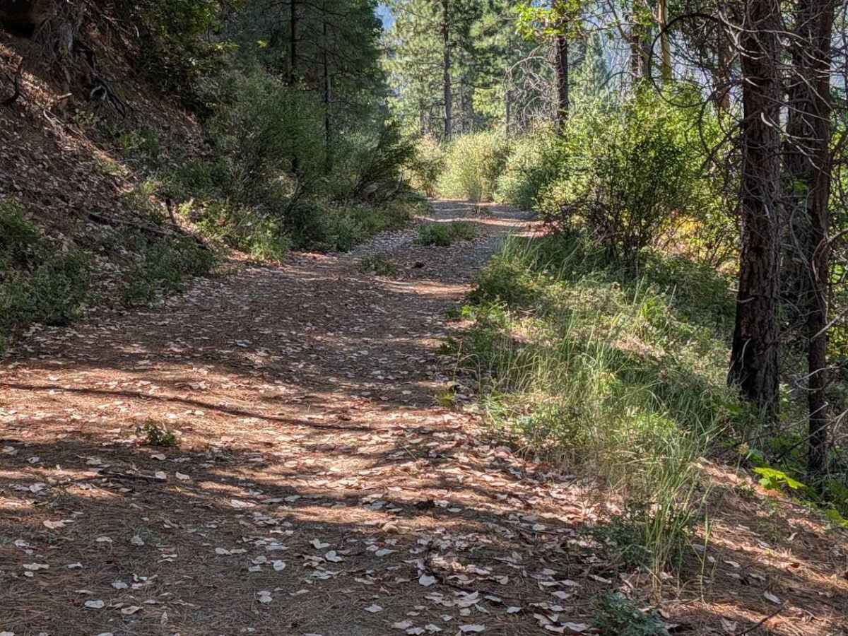 Hayshed Creek Road - FS 4N05 photo 4