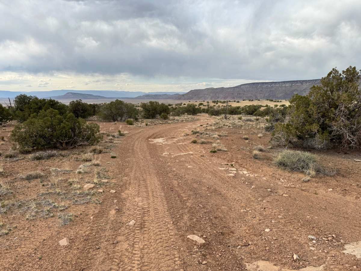 BLM 625 photo 5