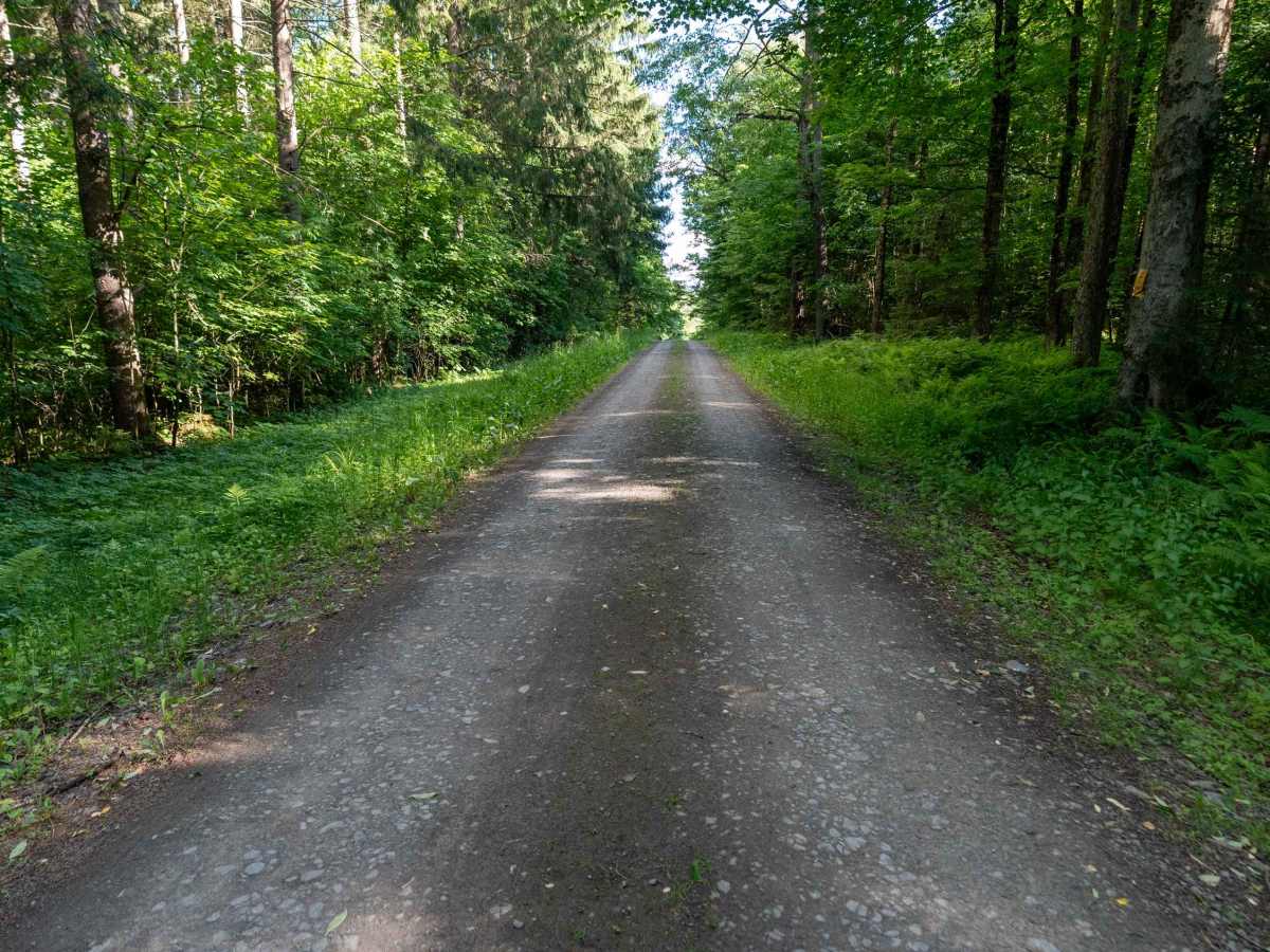 Truck Trail 1 photo 3