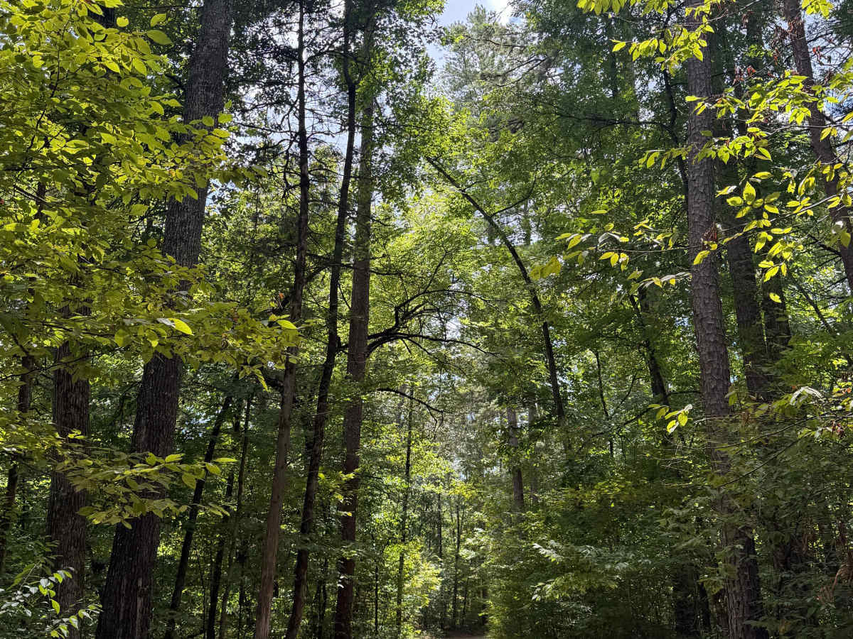 Perry Creek photo 6