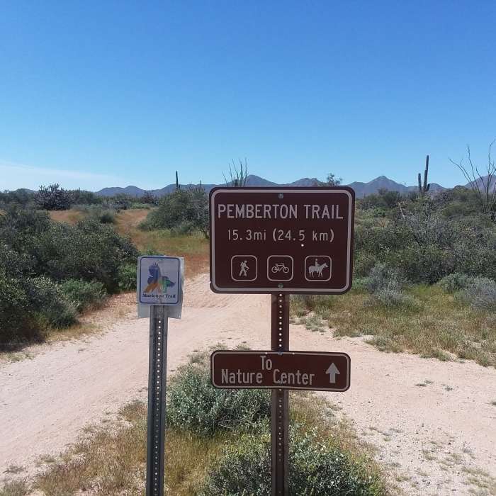Near Tortoise