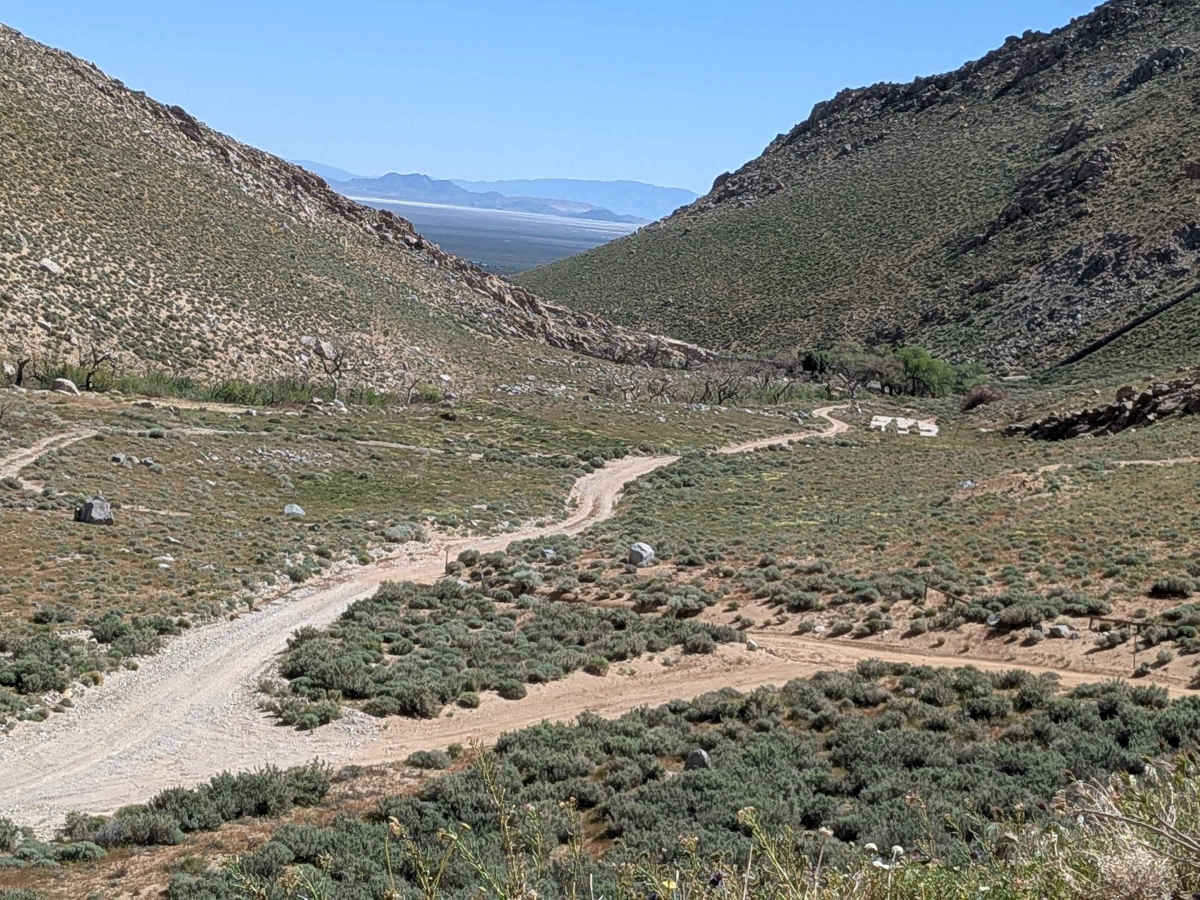 BLM 116 photo 5