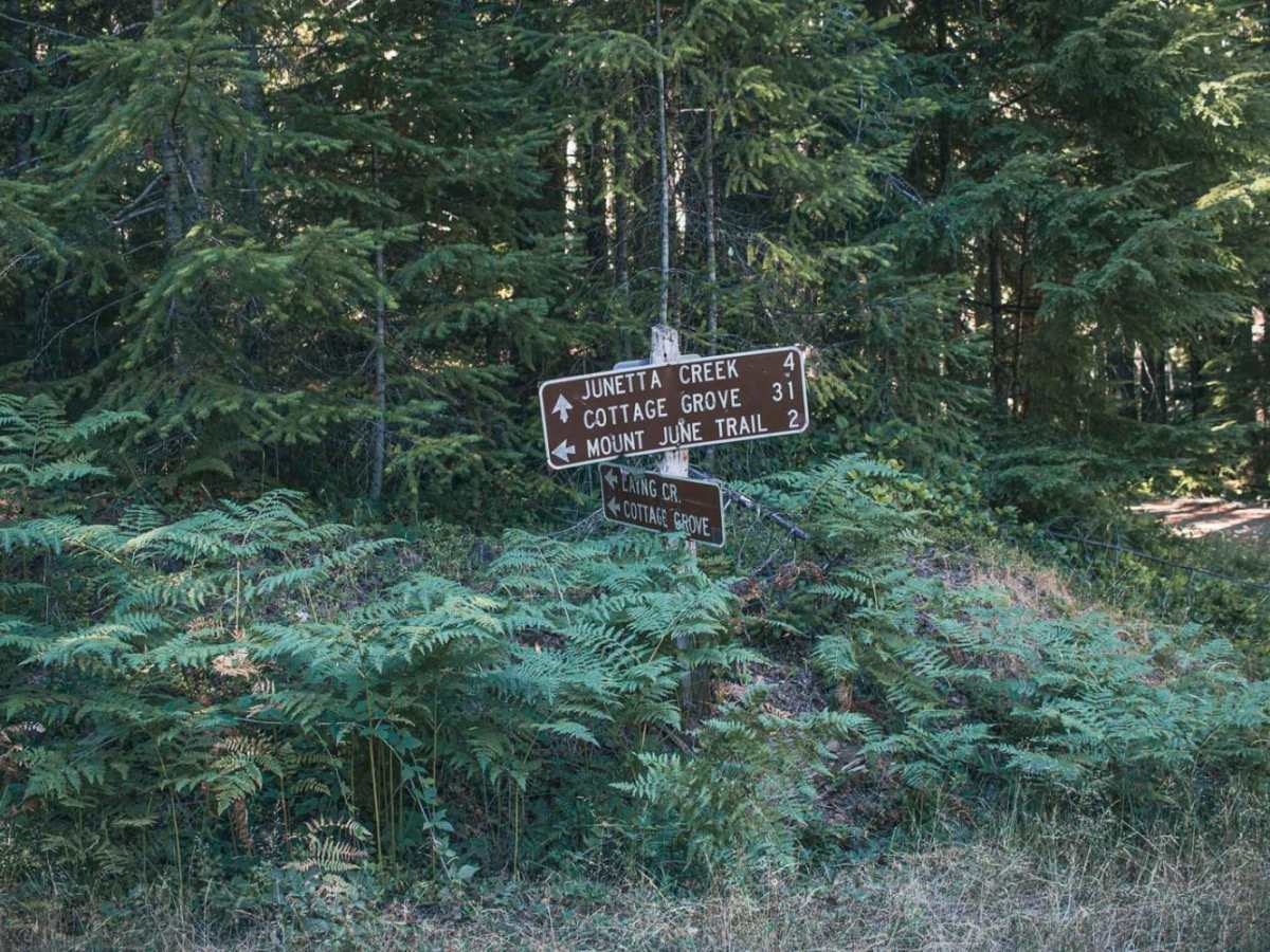 June Mountain photo 5
