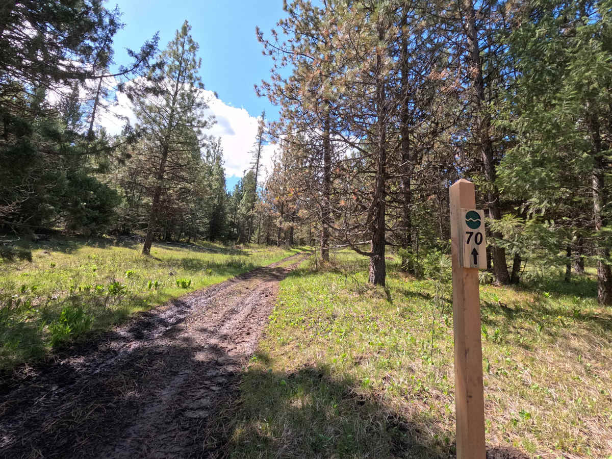 Trail 70 photo 6
