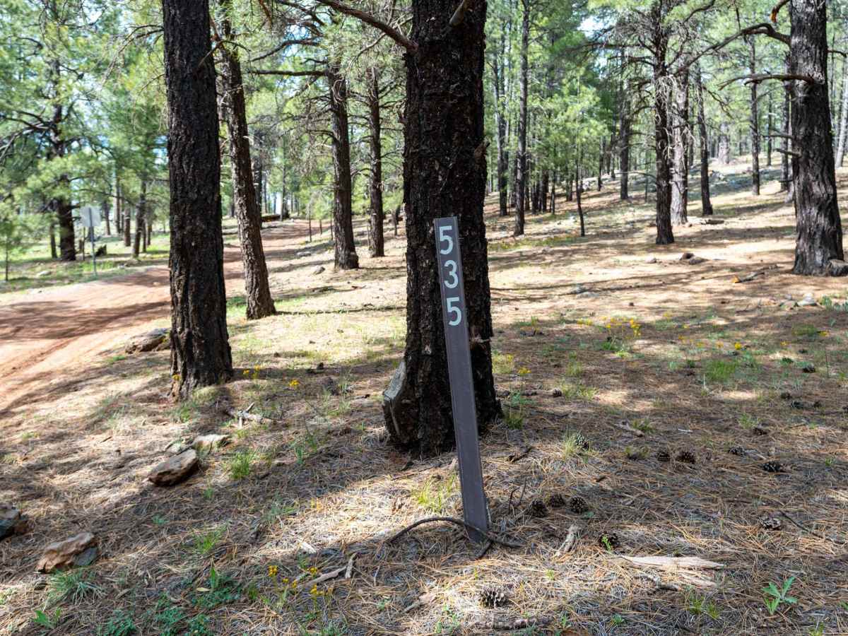 Fry Park - FS 535 trail photo