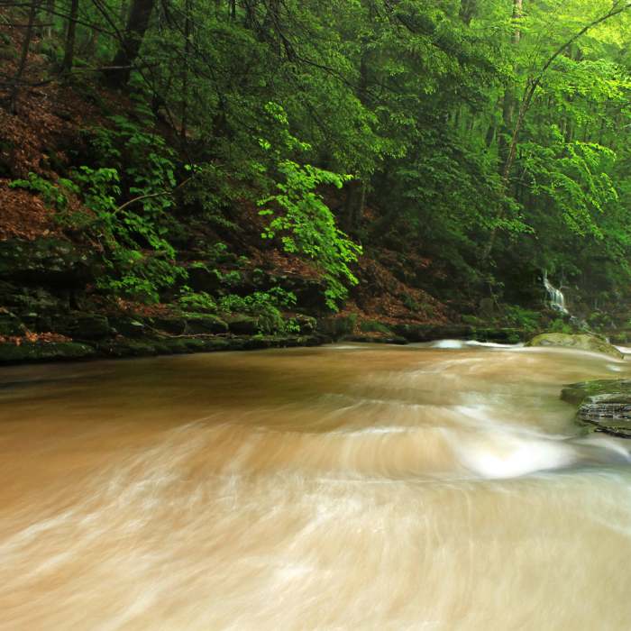 Near Old Logger's Path (OLP)