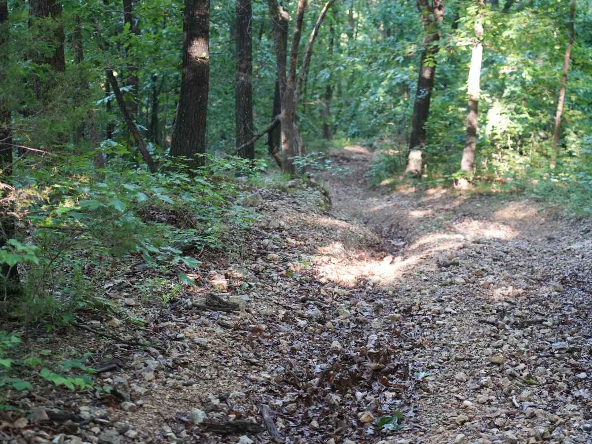 Schneider Hollow photo 3