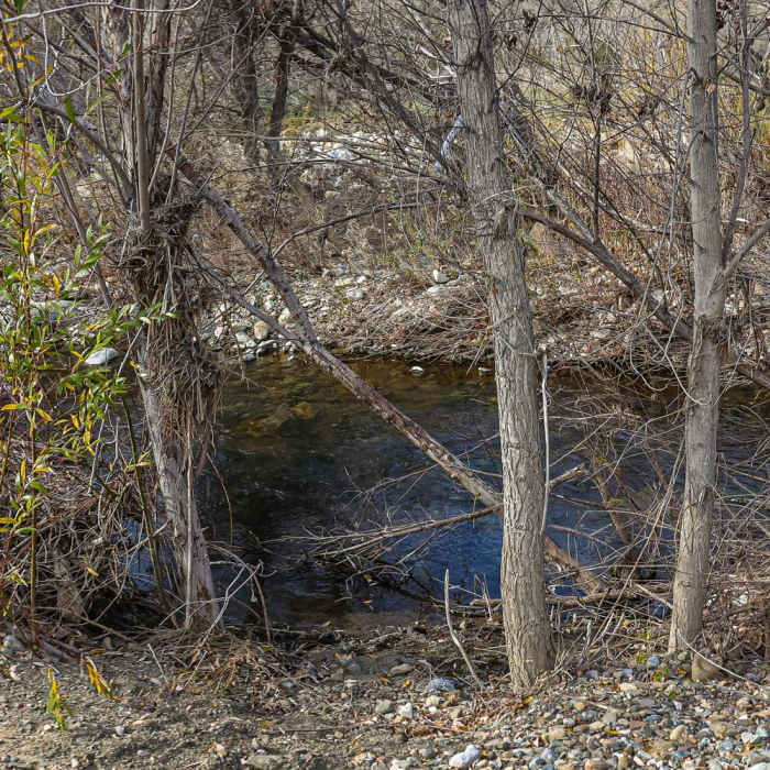 Near Piru Creek Trail