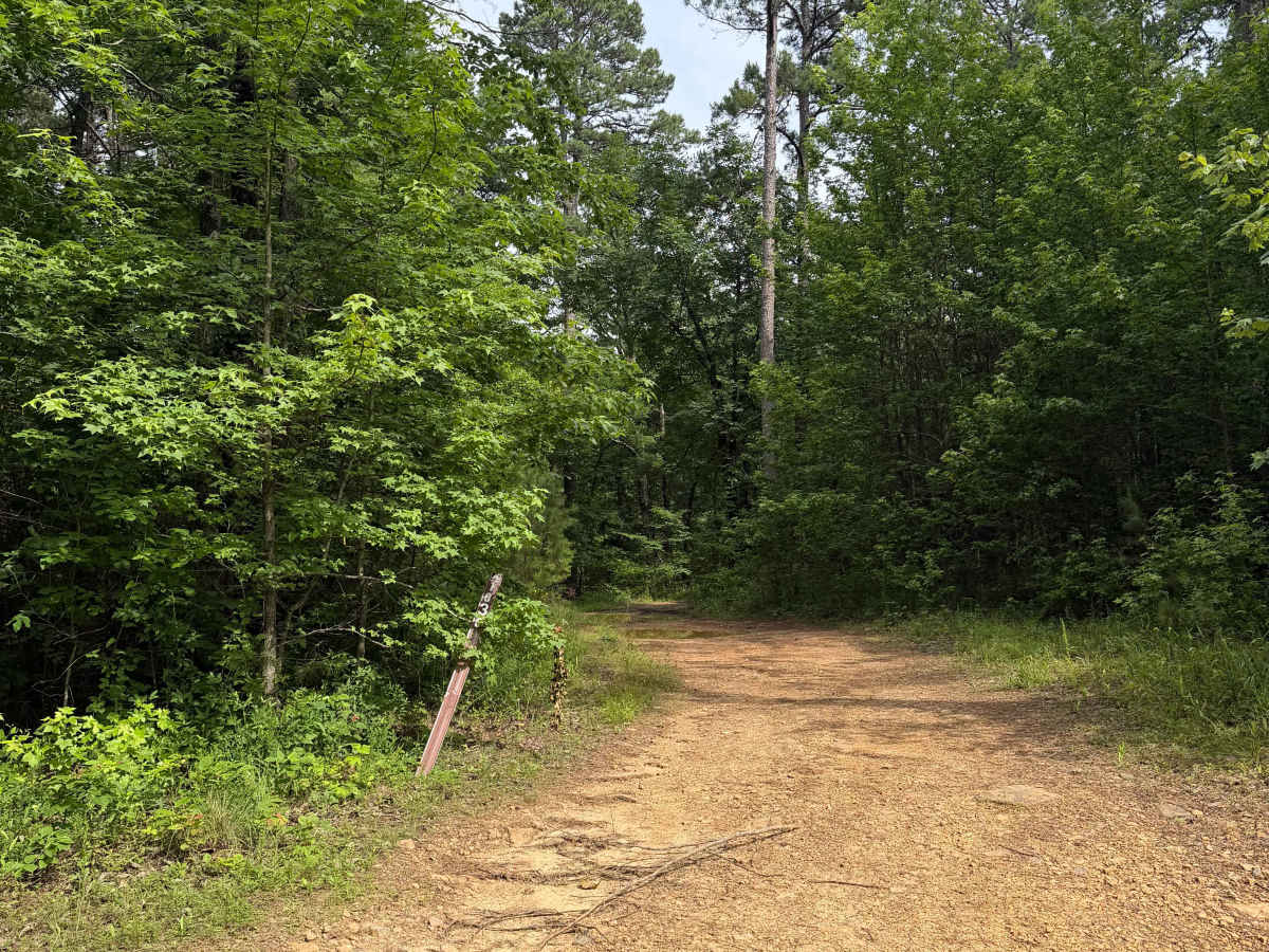 Rocky Ledge trail photo