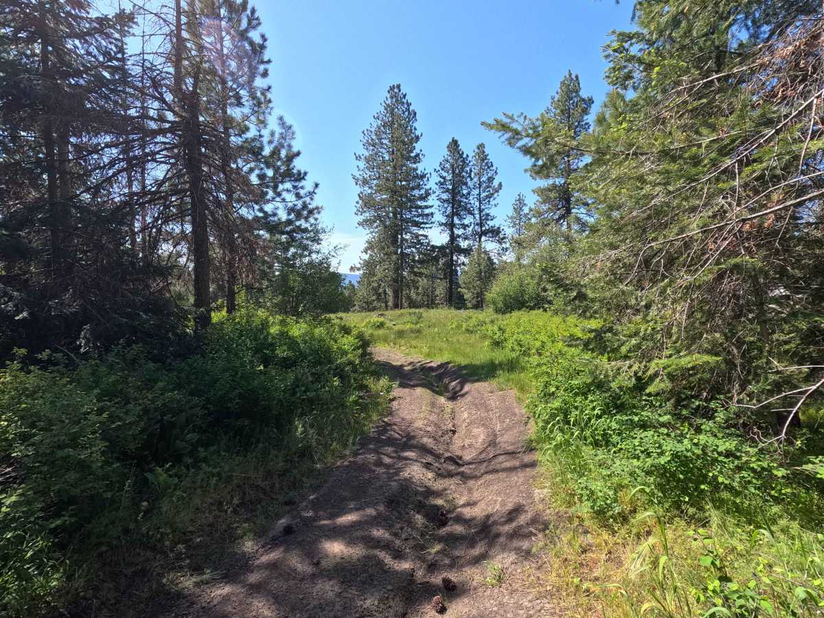 Rock Pit Road - Trail 215 photo 3