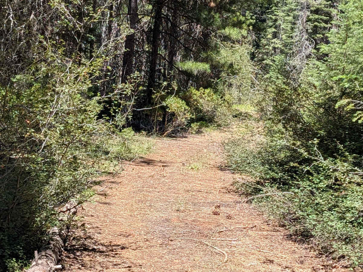 White Deer North - FS 41N34Y photo 2