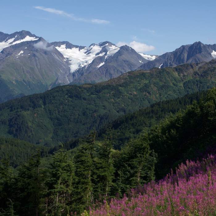 Near North Face Hiking Trail