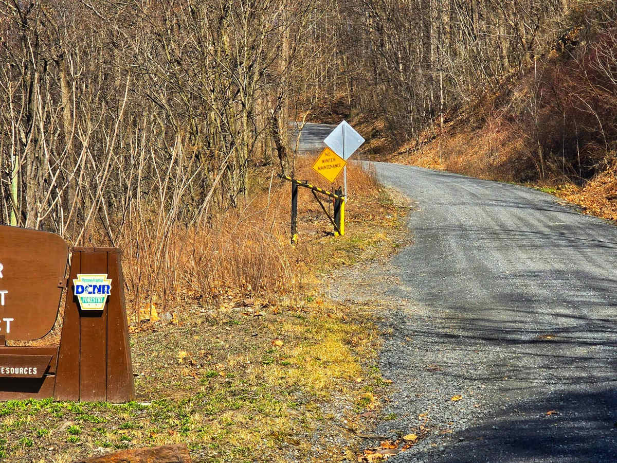 Oak Road photo 4