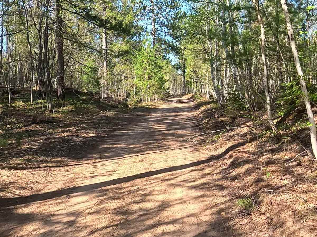 CCL Trail trail photo