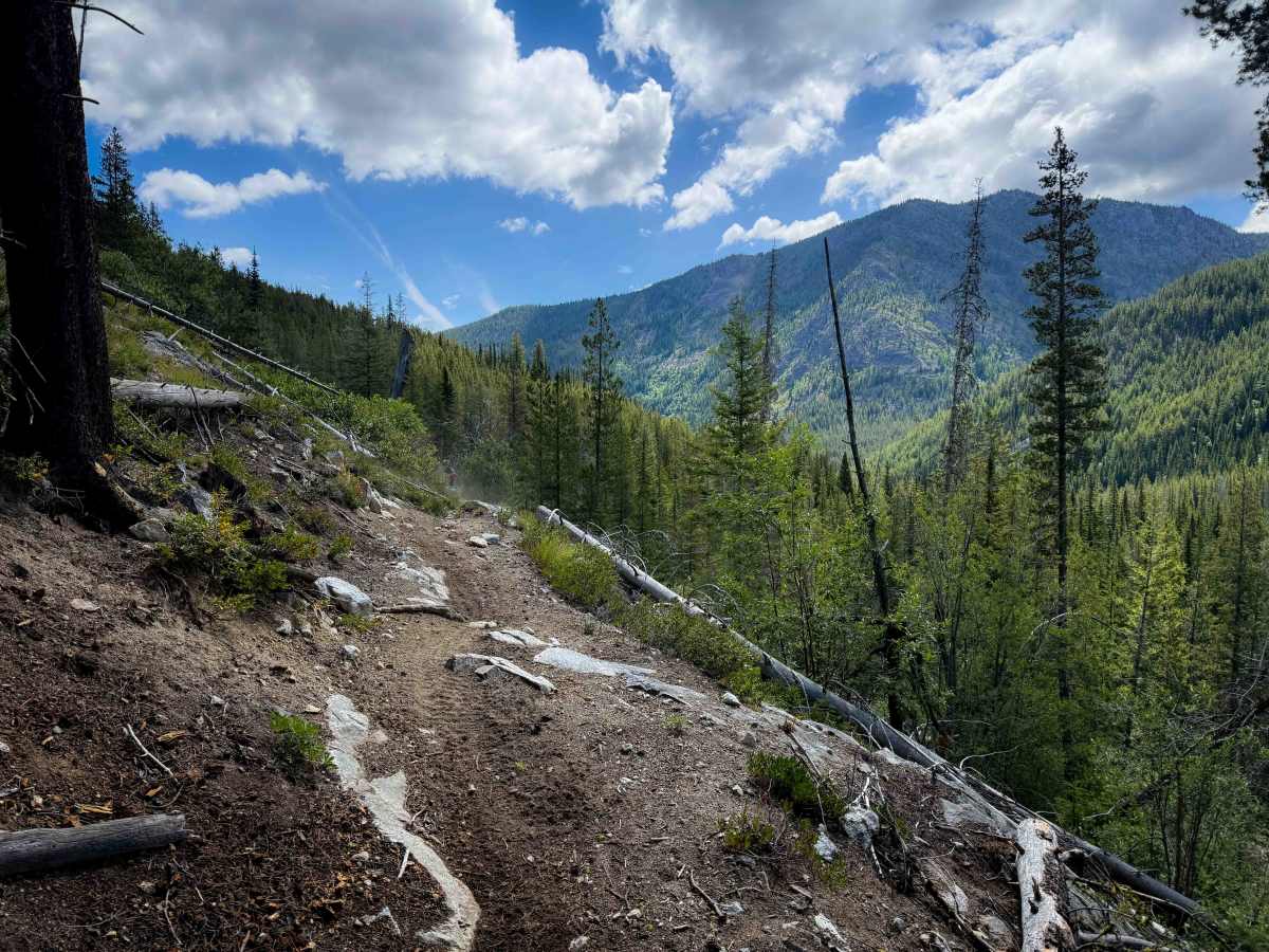 Foggy Dew - 417  trail photo