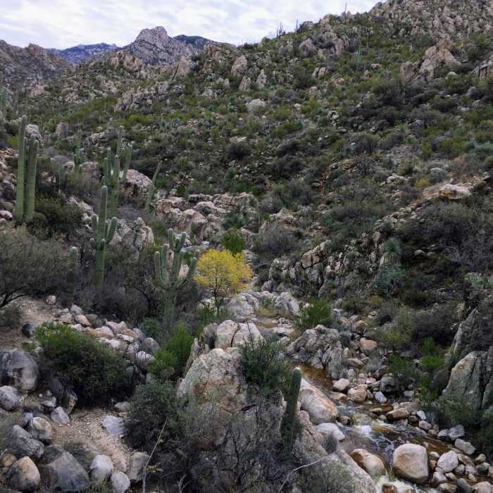 Near Romero Canyon Trail