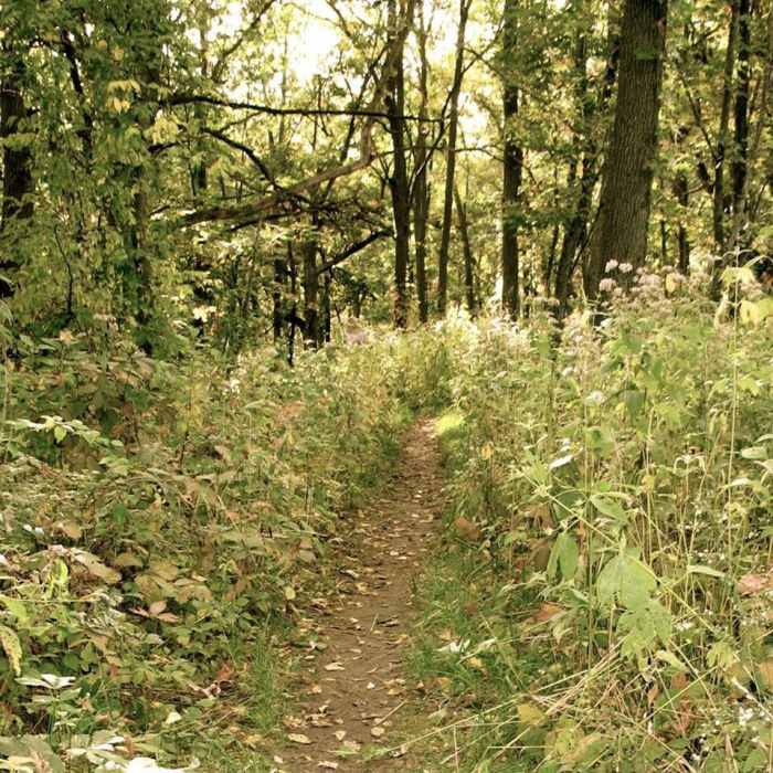 Near Ice Age Trail: Valley View Segment