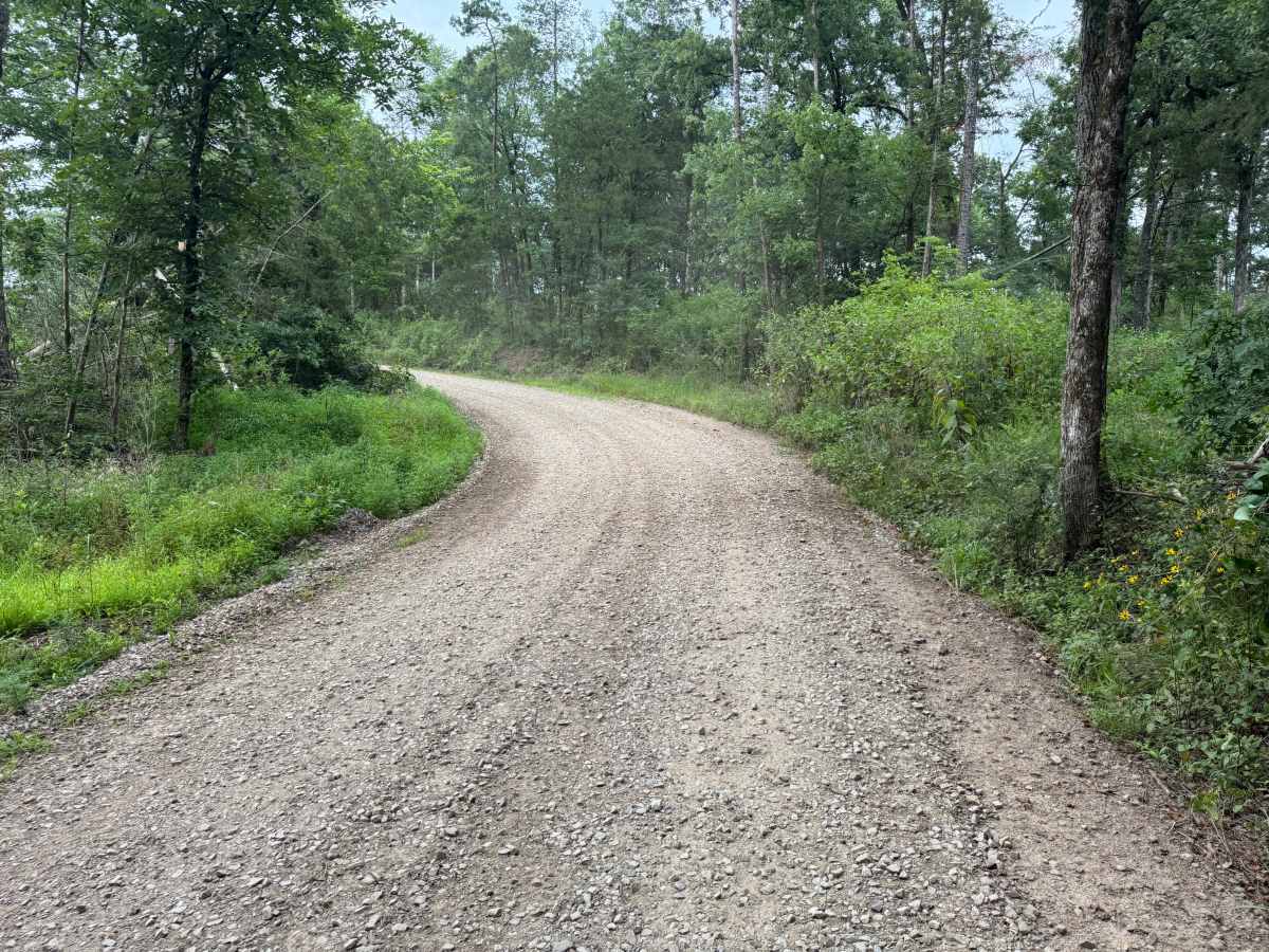 County Road 3365 photo 2
