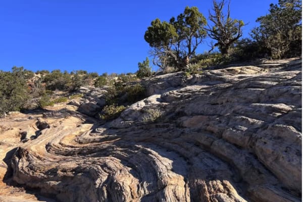 Hog Canyon 5 - Savage Point (BLM HC5/5A)