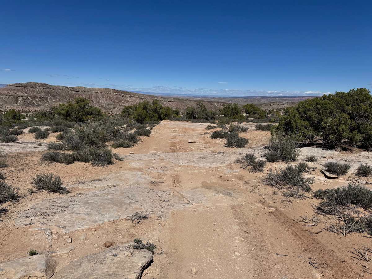 Dome Plateau Trail Spur photo 3