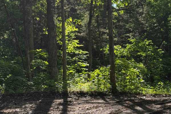 Inner Trail 8