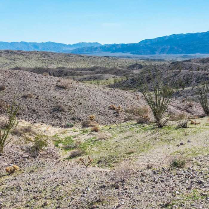 Near West Butte Mountain and the Slot