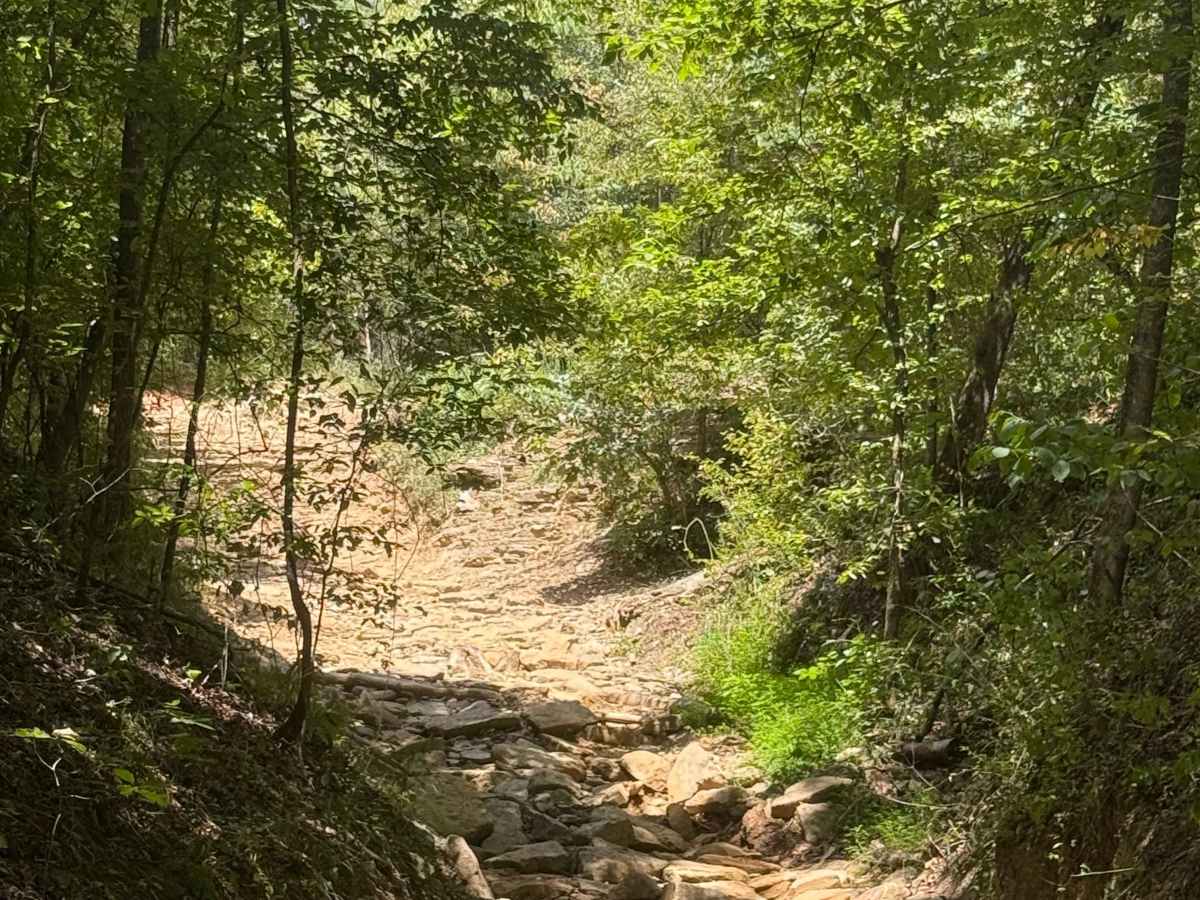 Carsons Corner trail photo