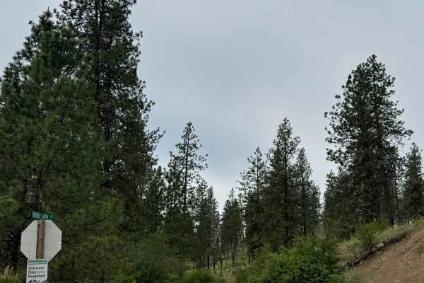 Bisbee Mountain Road