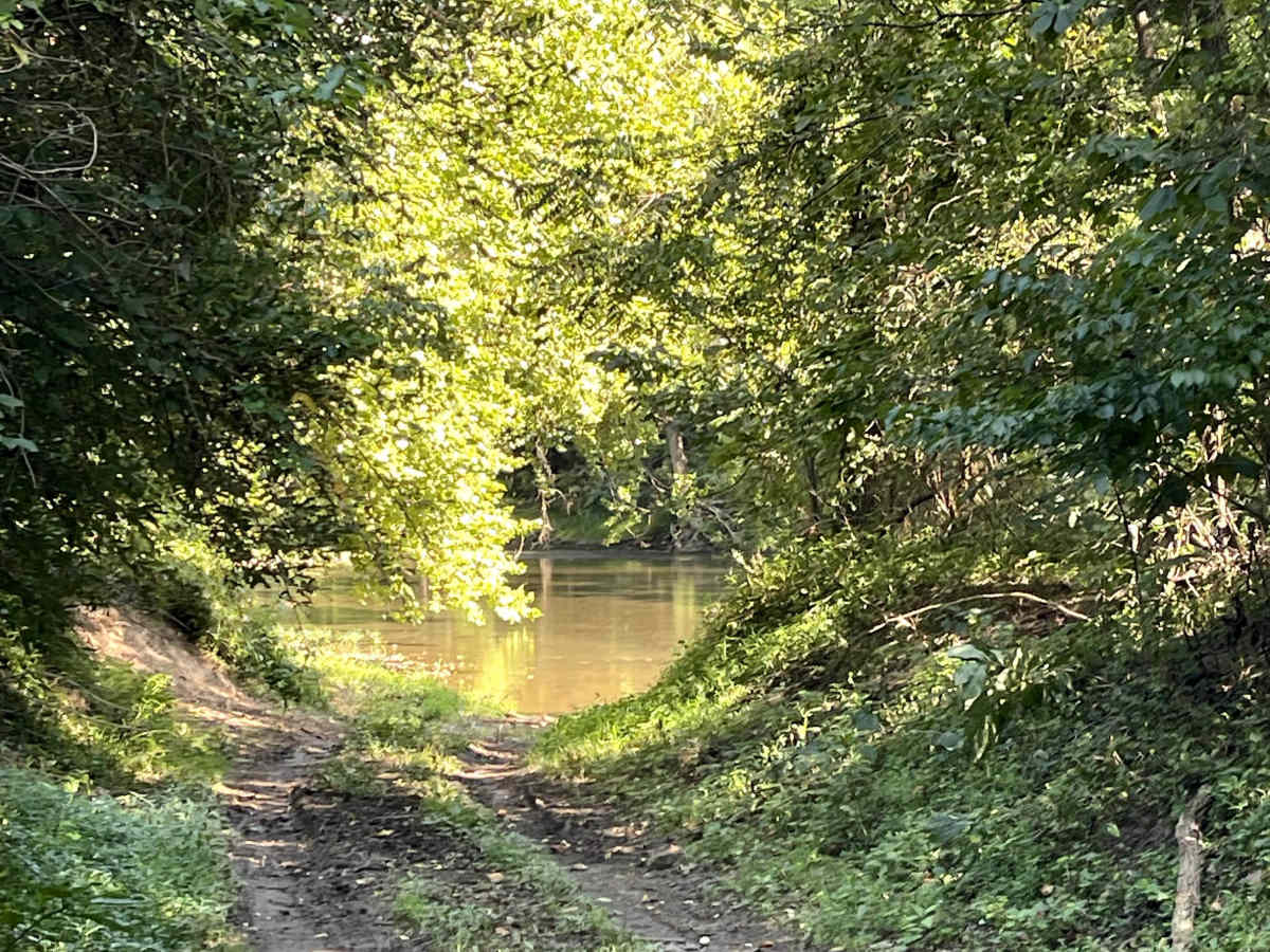 Scenic View Lane photo 4