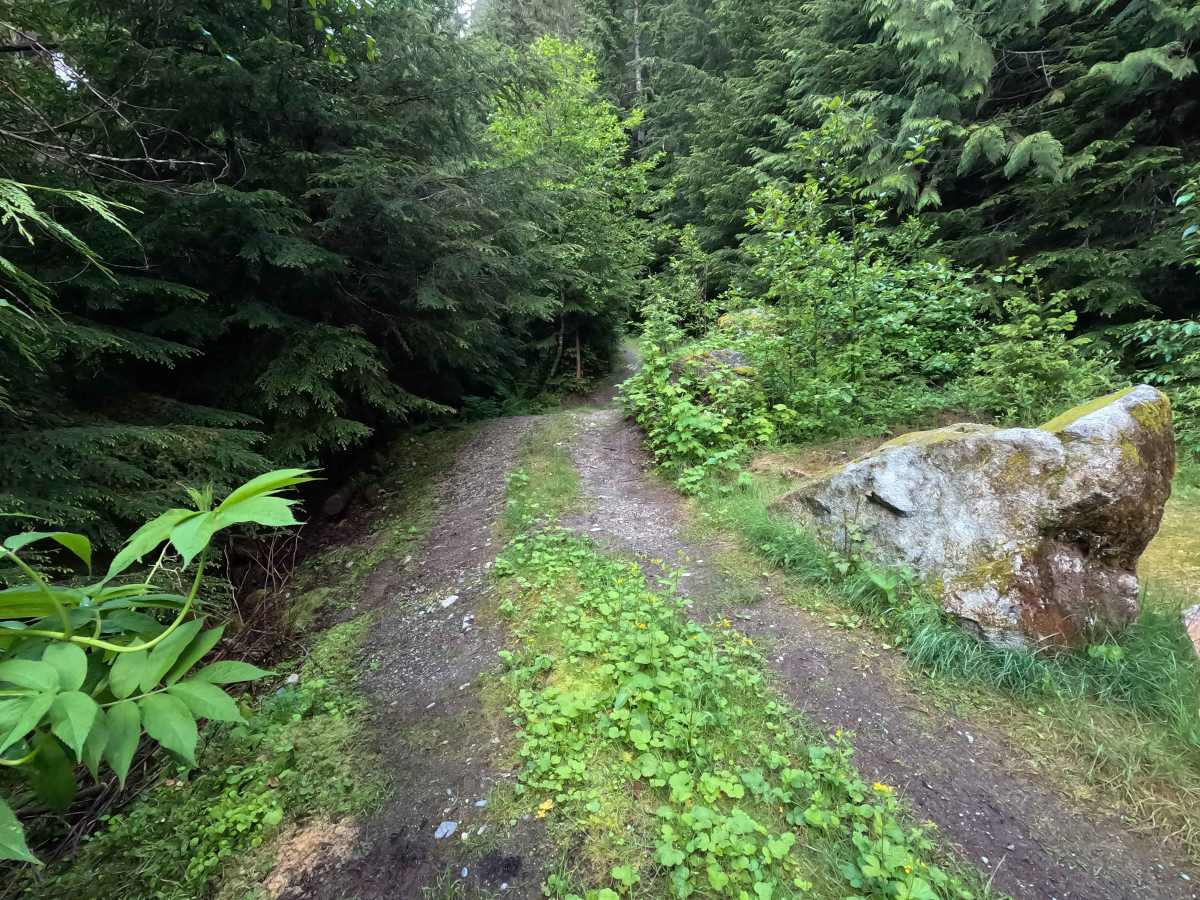 Upper Illabot Road - FS 16 trail photo