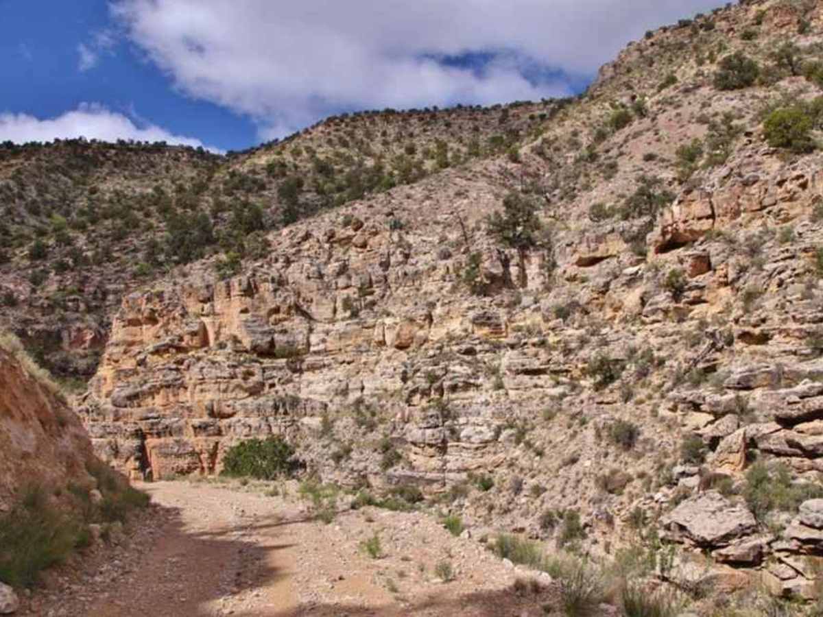 Parashant Canyon-Mollies Nipple - BLM 1230 photo 5