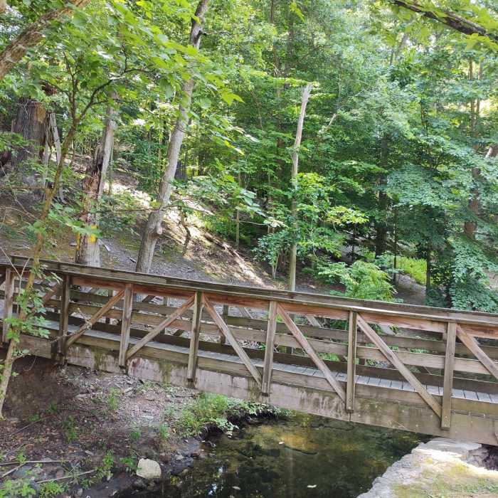 Near Springfield Trail