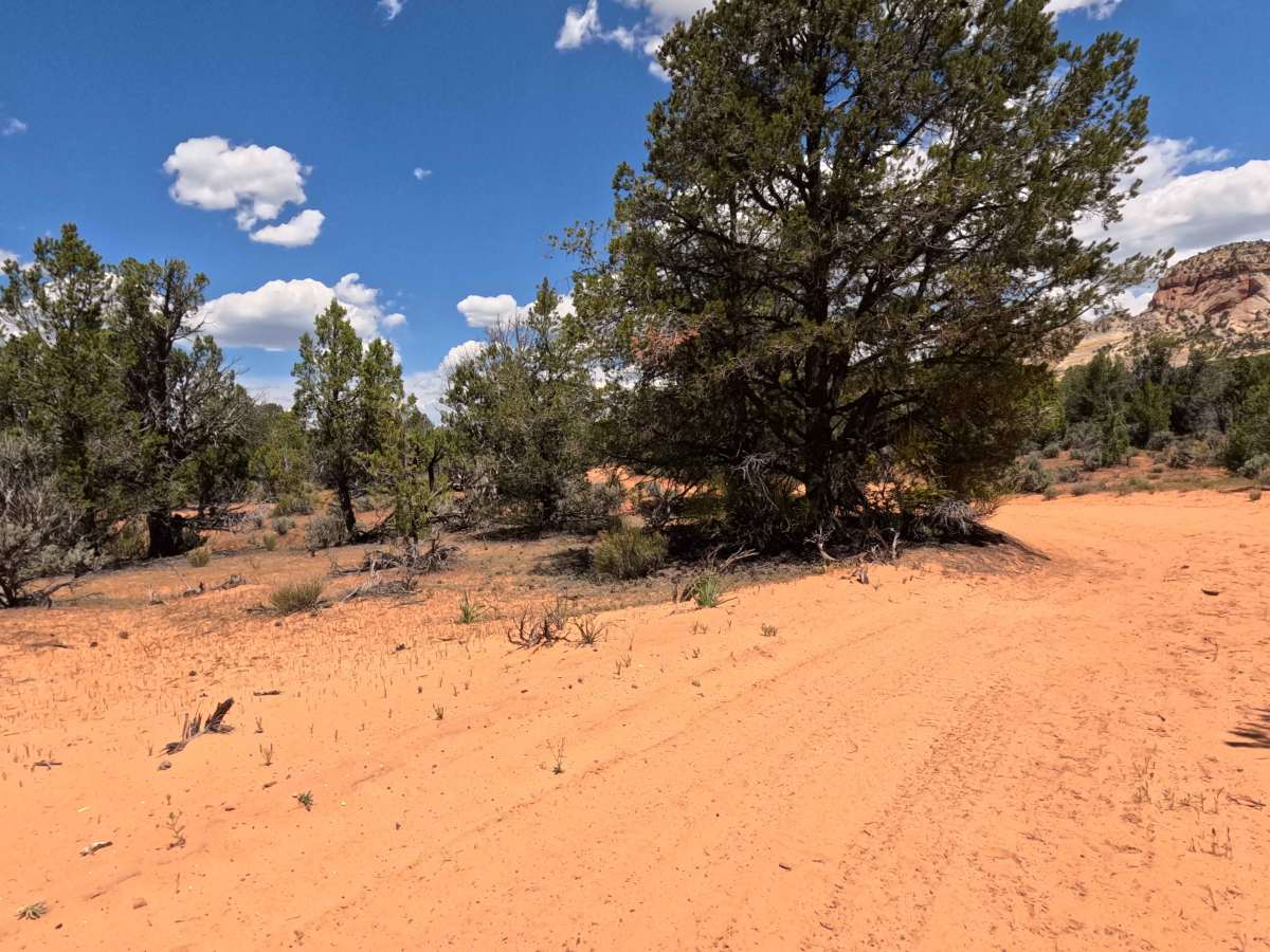 BLM 106W photo 4