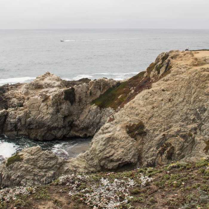 Near Bodega Head Nature Trail
