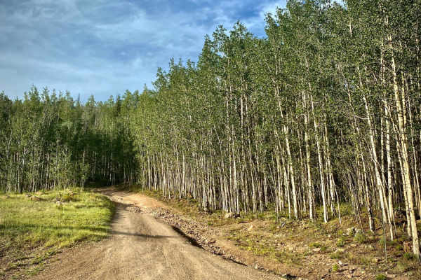 Rat Creek Loop