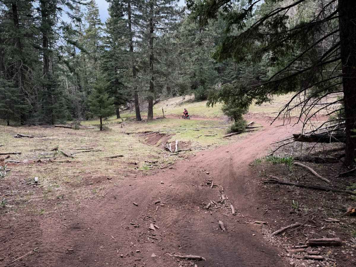 Benson Canyon - FS 5005  photo 6
