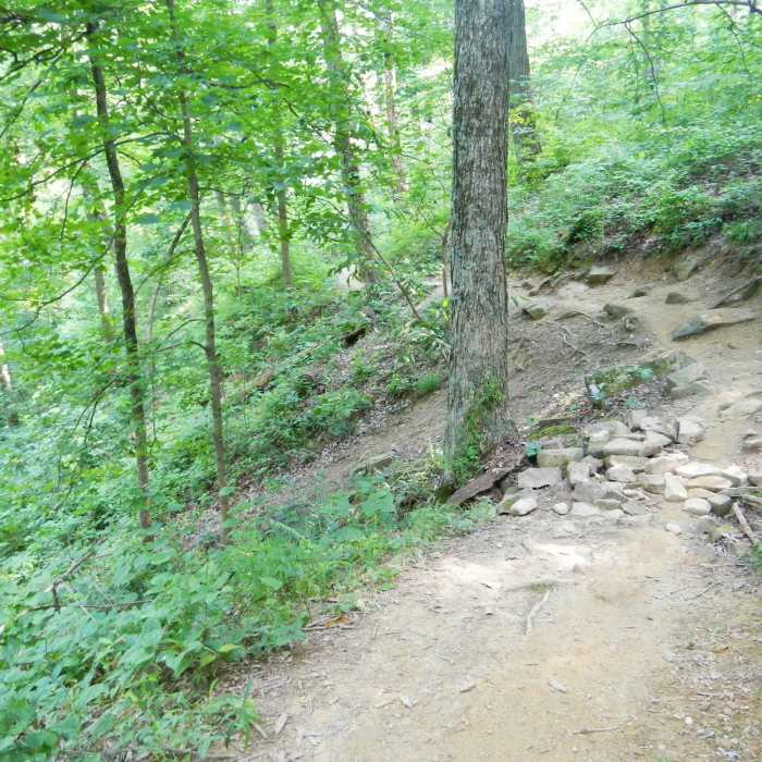 Walnut Trail. Near Schooner Trace-Walnut Loop