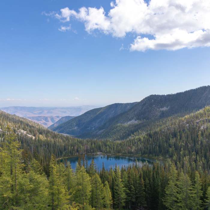 Near Eagle Lake Trail