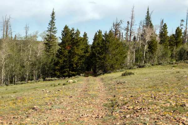 Red Mountain Lookout - FS 80132