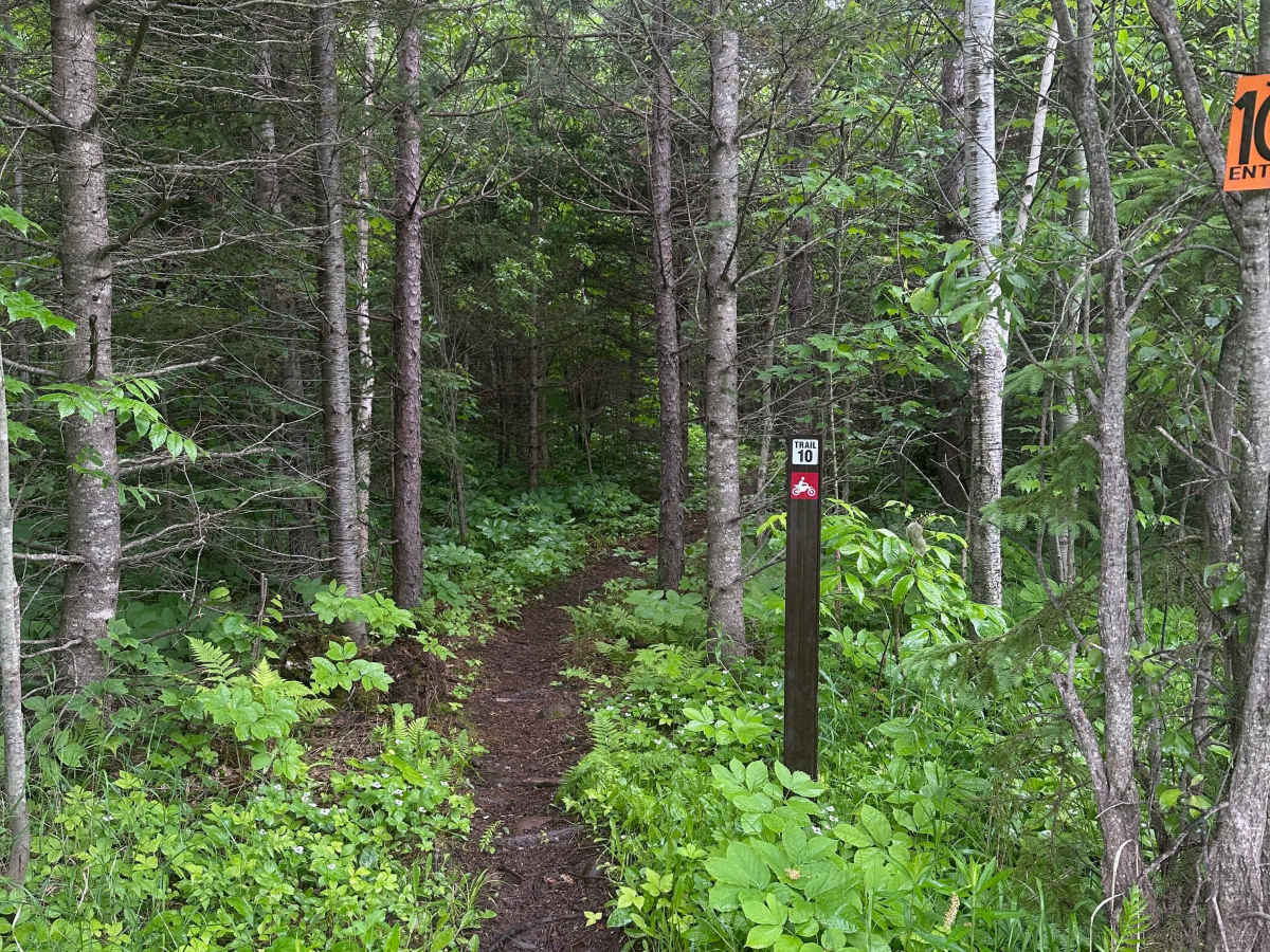 Alger Grade - Trail 10 trail photo