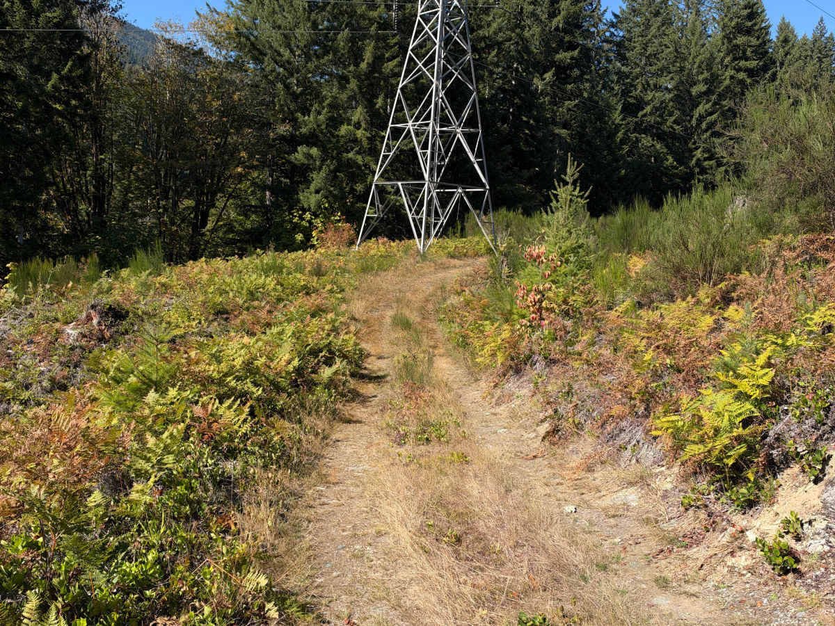 Powerline Vista photo 2