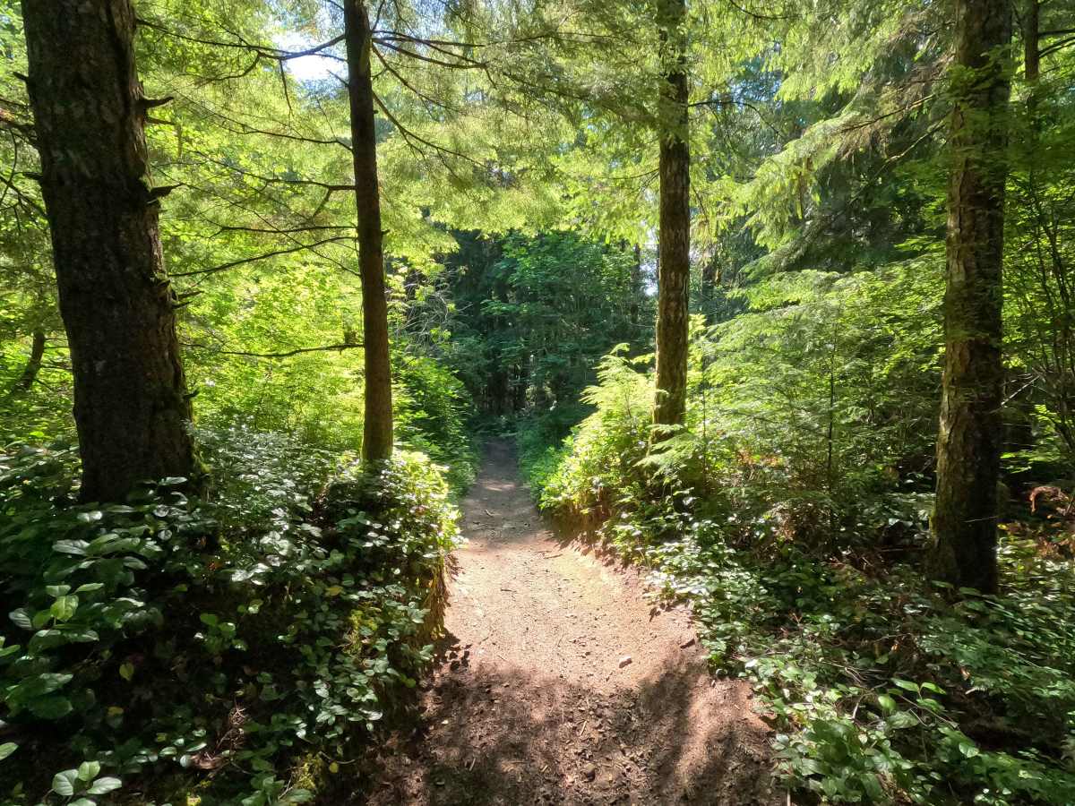 Sadie Creek Trail photo 3