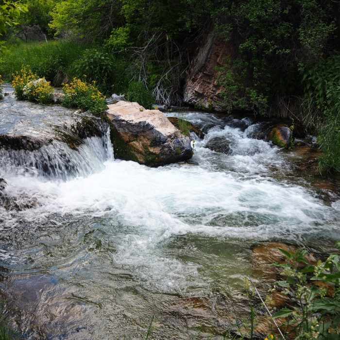 Near Jones Hole Trail