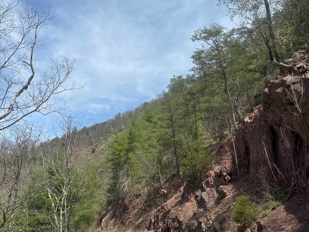 Alleghany Line Road photo 3