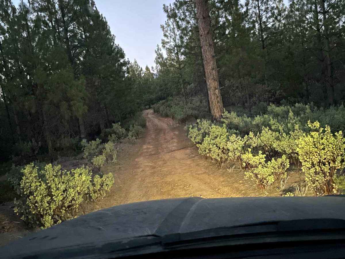The Rut trail photo