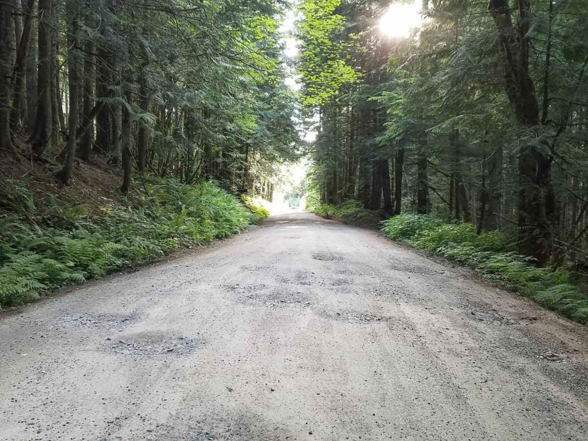 Tinkham Road (NF-55) photo 5